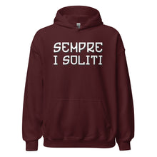 Sempre i Soliti Hoodie